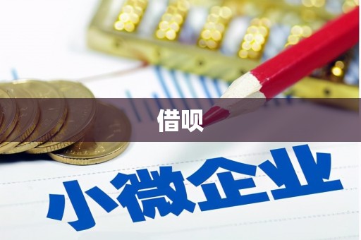 南召借呗