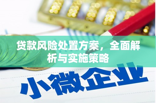 南召贷款风险处置方案，全面解析与实施策略