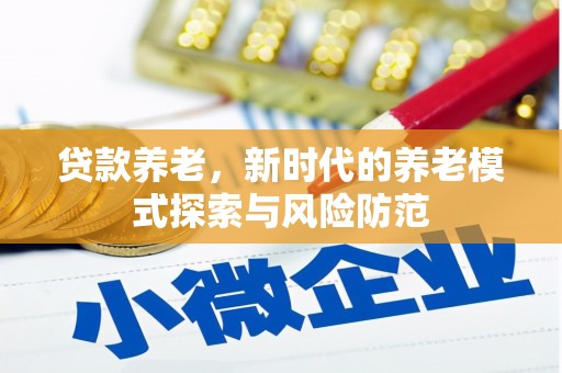 南召贷款养老，新时代的养老模式探索与风险防范