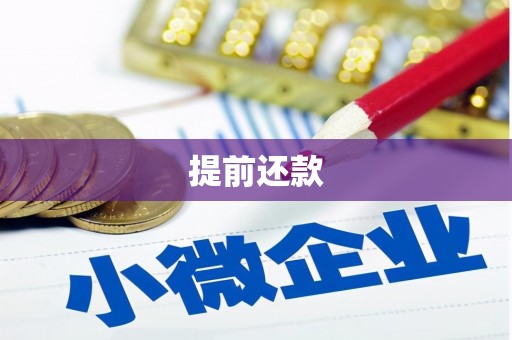 南召提前还款