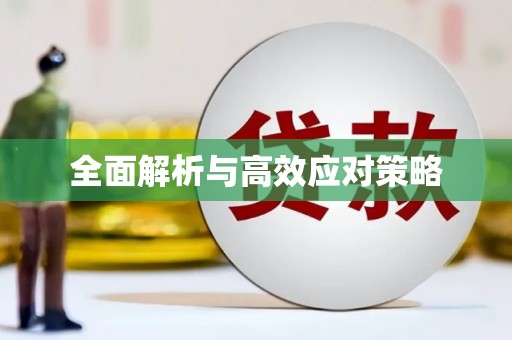 南召全面解析与高效应对策略