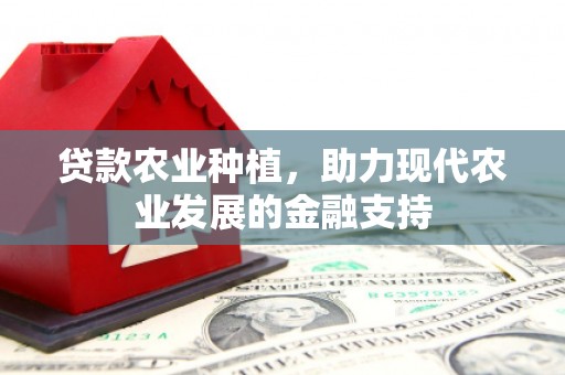 南召贷款农业种植，助力现代农业发展的金融支持
